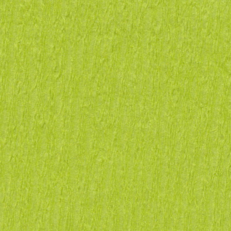 Crepe Paper 19.7"x98.4" w/ fold - 10 pack - Light Green image