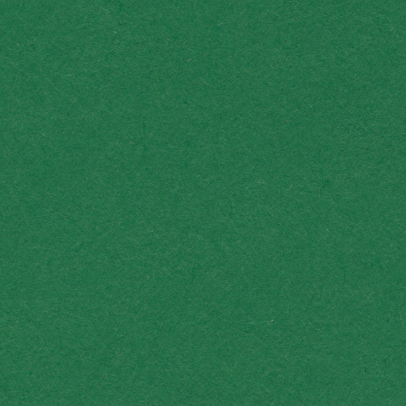 English Cardboard 19.7"x25.6" - 1 sheet- 160 g medium weight - Dark Green image