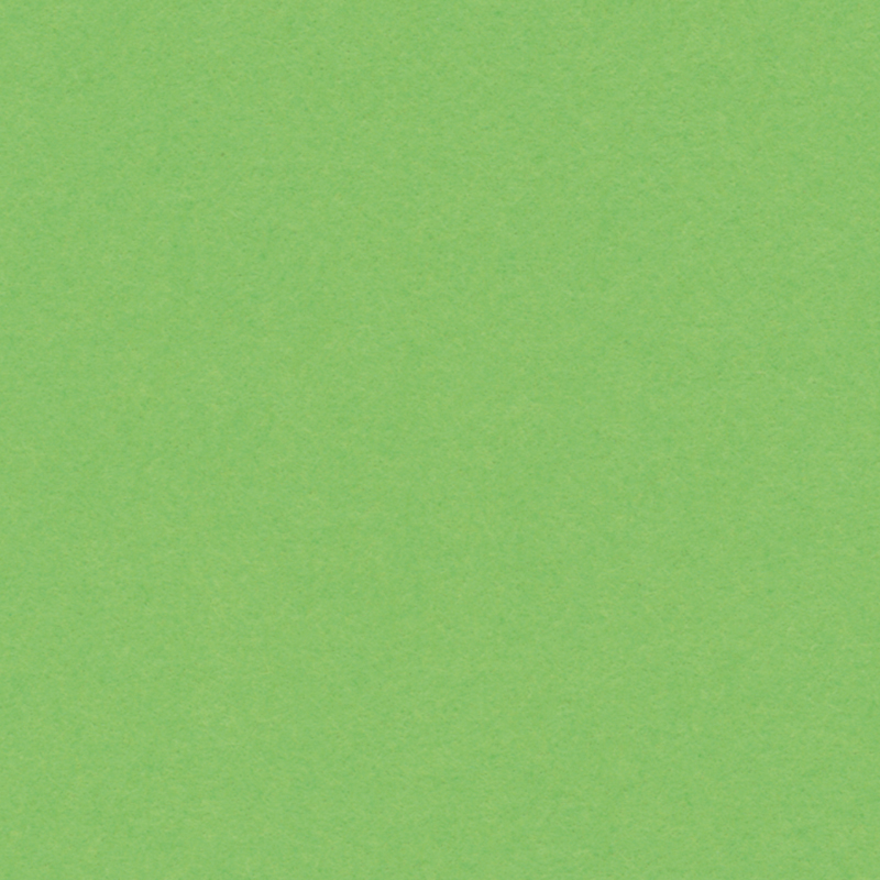 English Cardboard 19.7"x25.6" - 1 sheet - 160 g medium weight - Light Green image