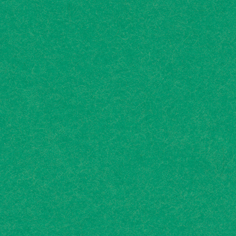 English Cardboard 19.7"x25.6" w/ fold - 1 sheet - 280 g heavy weight - Green image