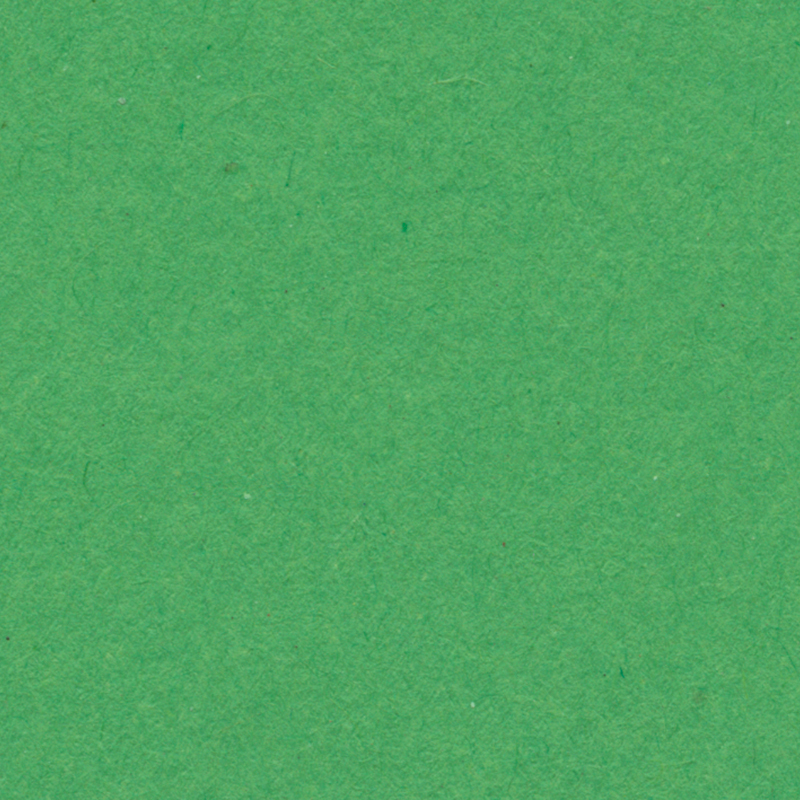 English Cardboard 19.7"x25.6" w/ fold - 1 sheet - 280 g heavy weight - Apple Green image
