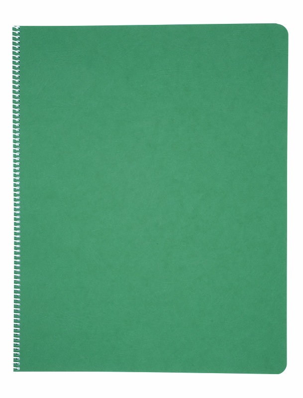 Literacy Lined/Blank Main Lesson Books - Green image