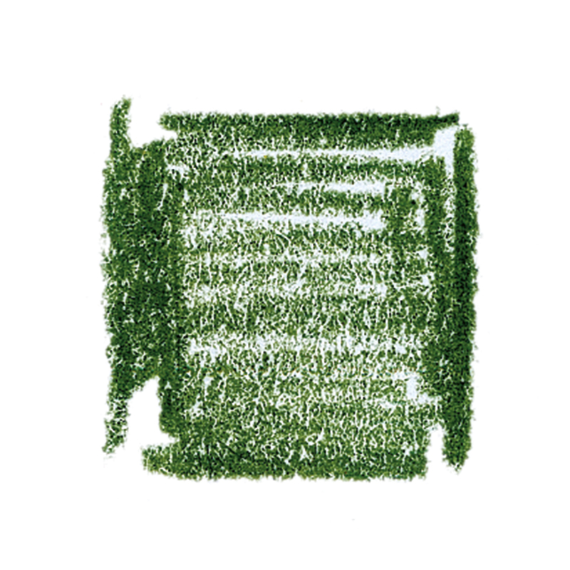 Lyra Pencils Rembrandt Aquarell - box of 12 - Cedar Green image