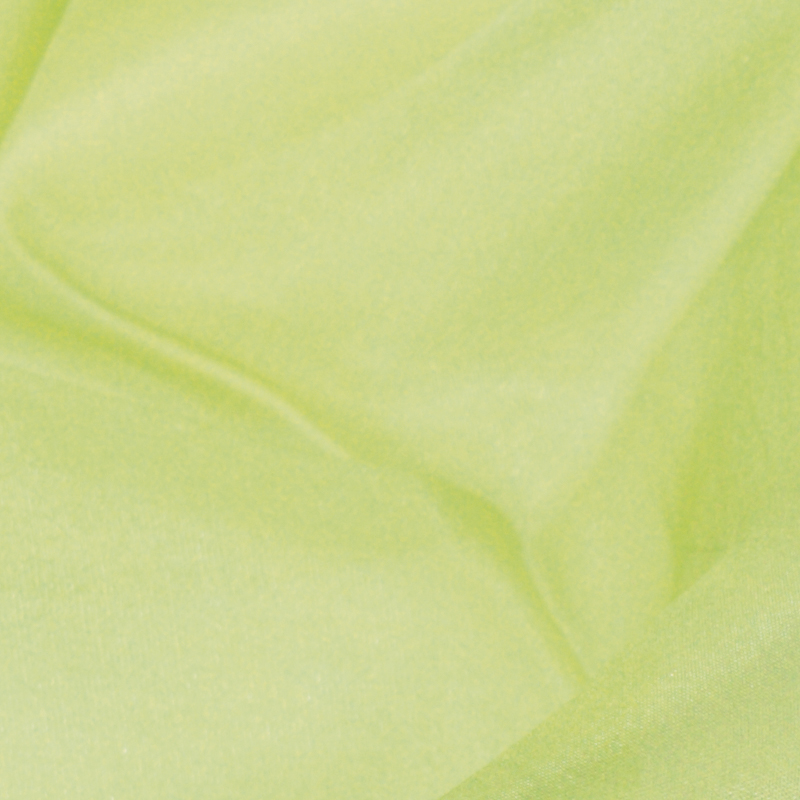Filges Plant-dyed Unhemmed Light Silk - 1 x 5.5 yards - Light Green image