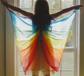 Sarah's Silks Silk Wings - Rainbow  image