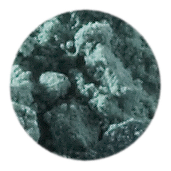 Artemis Plant Colour Pigment 50 ml - Leaf Green image