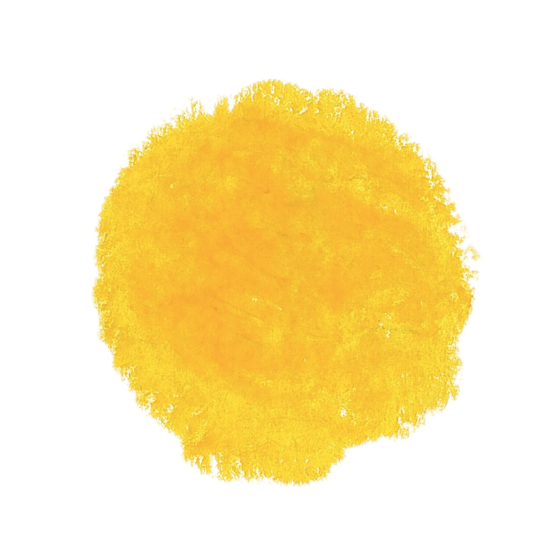 Stockmar Wax Stick Crayons box of 12 - Golden Yellow image