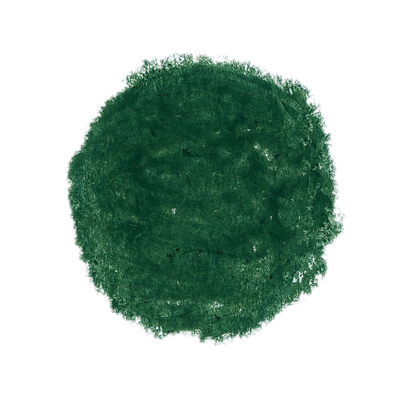 Stockmar Wax Stick Crayons box of 12 - Leaf Green image
