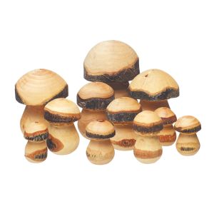 Toadstools Wooden Assorted Sizes - 11 pieces