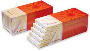 Stockmar Opaque Colours Sets - 12 Colors, Opaque White, Brush + Palette - 5 pack