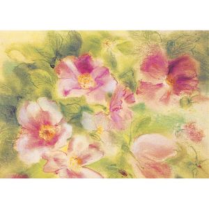 Marjan van Zeyl Postcards - 5 pieces - Wild Roses