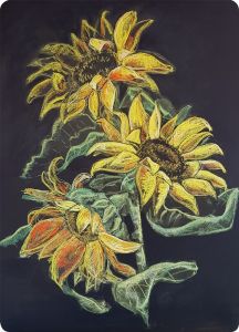 Postcards Kapitein Kalk - Sunflower - Set of 5 Cards